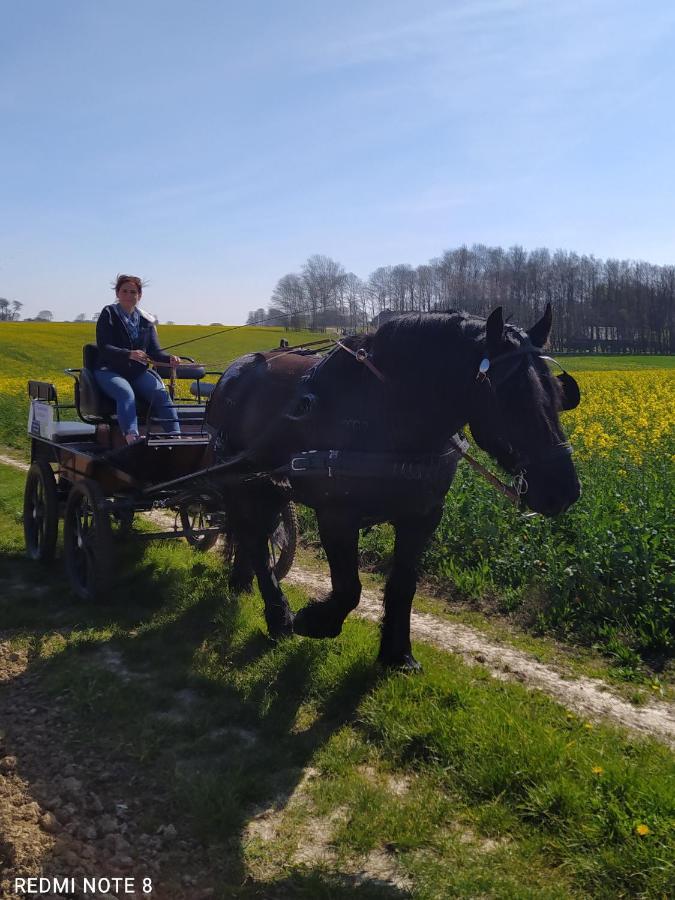 Veritable Roulotte Hippomobile "La Bailleul" Mentheville Esterno foto
